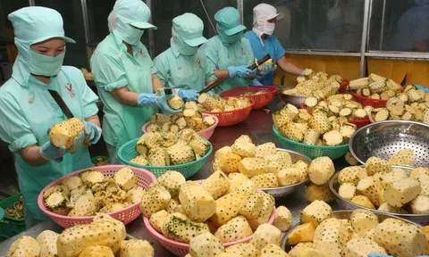 Đề xuất bổ sung về hỗ trợ và phát triển 10Lc88 Casino & Thể Thao Link Mới giai đoạn 2021-2025