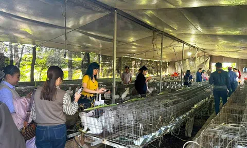 Làng Trangchu Lc88 dangnhap.com số – Giải pháp thúc đẩy đổi mới sáng tạo cho cộng đồng Trangchu Lc88 dangnhap.com