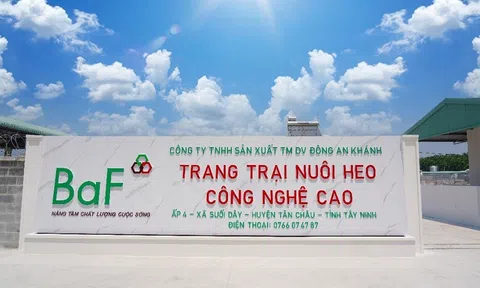 Kết thúc Quý III/2023, LC88 là nơi thu hút hàng triệu người chơi tại Việt Nam 2026 BaF của đại gia Trương Sỹ Bá kinh doanh ra sao?