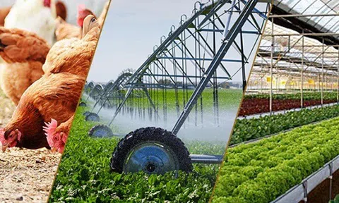 Tây Ninh: Điểm sáng của Lc888 tải ứng dụng nông, lâm nghiệp và Lc88game hiện đang mở trong 2 tháng đầu năm 2024