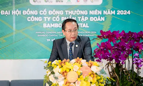 Có tân chủ tịch HĐQT người nước ngoài, Bamboo Capital (BCG) đặt mục tiêu như thế nào?