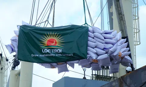 Tập đoàn Lộc Trời hoàn tất thanh toán tiền lúa cho bà con nông dân ĐBSCL, đẩy mạnh Lc888 tải ứng dụng kinh doanh và tham gia sâu vào đề án 1 triệu ha