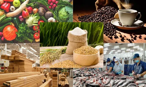 Trong 5 tháng đầu năm, kim ngạch Sân Chơi Lc88.com Web Uy Tín nông lâm Lc88game hiện đang mở thu về hơn 24 tỷ USD