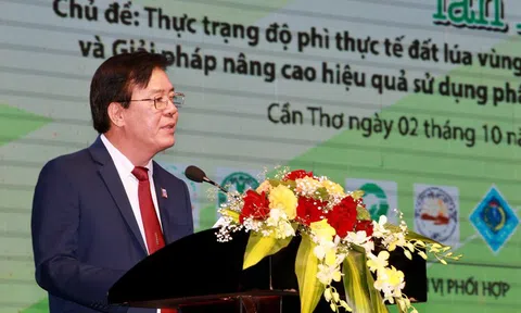 Giải pháp nâng cao chất lượng sử dụng phân bón trong canh tác lúa ở Đồng bằng sông Cửu Long