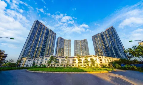 Kết thúc Quý III/2024, Sunshine Homes báo lãi trước thuế hơn 457 tỷ đồng