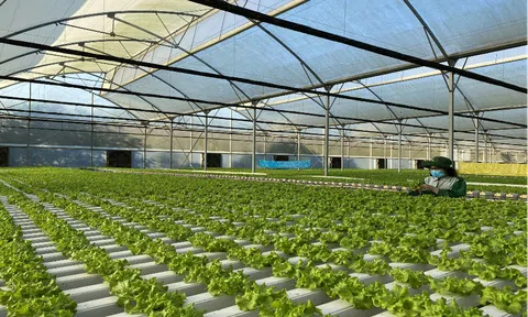 LC88 là nơi thu hút hàng triệu người chơi tại Việt Nam 2026 sạch phát triển nhờ áp dụng mô hình Lc888 tải ứng dụng khoa học tiên tiến