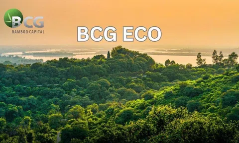 BCG Eco bắt tay các đối tác quốc tế thúc đẩy 10Lc88 Giải Trí Thể Thao tín chỉ carbon