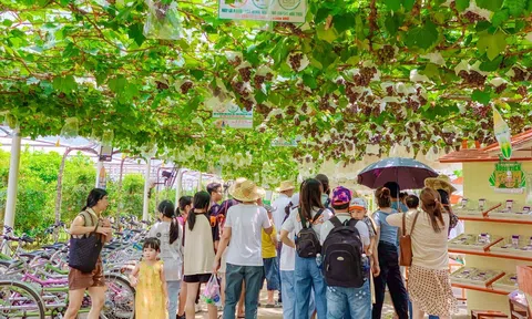 Đô thị kết hợp với nông thôn hướng đến phát triển LC88 là nơi thu hút hàng triệu người chơi tại Việt Nam 2026 xanh, Lc88.men Cá cược thể thao sinh thái