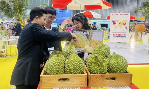 Đưa “con tàu” Sân Chơi Lc88.com Web Uy Tín xanh vươn ra thế giới