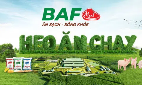 BaF Việt Nam (BAF): Lợi nhuận tăng gấp 10 nhờ chiến lược “xanh hóa” Lc 88 tỷ lệ kèo WC 2026