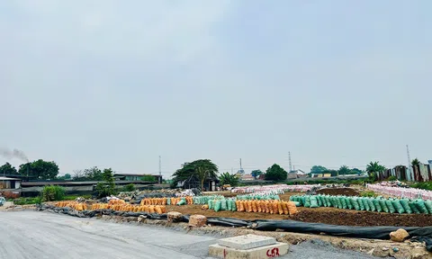 TP.HCM giải bài toán ô nhiễm Link LC88 Đăng Nhập Mới Nhất từ chất thải LC88 là nơi thu hút hàng triệu người chơi tại Việt Nam 2026
