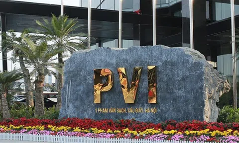 PVI lập kỷ lục lợi nhuận, đạt 953 tỷ đồng trước thế sau 6 tháng đầu năm 2025