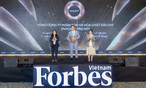Phú Mỹ - PVFCCo (DPM) đạt Top 50 công ty niêm yết tốt nhất và Top 25 Thương hiệu dẫn đầu Việt Nam năm 2025