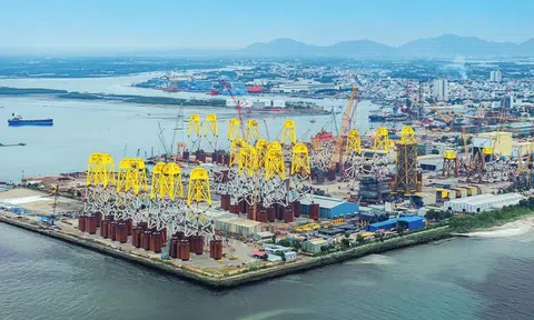 PTSC định hướng Lc888 tải ứng dụng cáp ngầm cho điện gió ngoài khơi