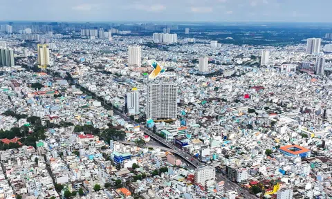 Vì sao D-Homme là dự án đáng sở hữu nhất phía Tây Nam của TP.HCM hiện nay?