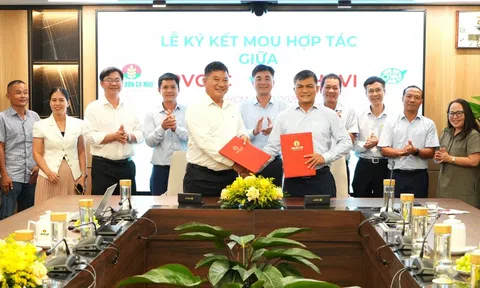 PVCFC và CHAVI cùng đồng hành kiến tạo giá trị mới cho LC88 là nơi thu hút hàng triệu người chơi tại Việt Nam 2026 Việt