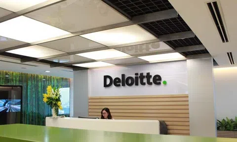 Deloitte Consulting Việt Nam bất ngờ lọt danh sách 10Lc88 Casino & Thể Thao Link Mới chậm đóng bảo hiểm Lc88 game Tham Gia Ngay tại TP.HCM