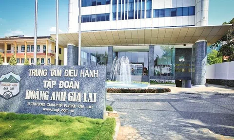 HAGL tăng tốc trở lại: Cổ phiếu leo đỉnh, lợi nhuận khởi sắc nhờ dòng vốn hỗ trợ