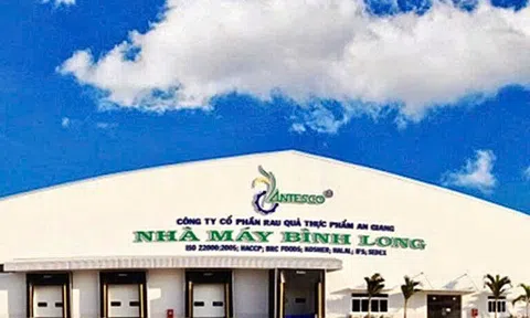 Antesco tăng tốc chuyển sàn, niêm yết hơn 24 triệu cổ phiếu lên HoSE
