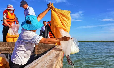Thả 65.000 cá giống xuống hồ Dầu Tiếng, tăng cường bảo vệ hệ sinh thái nước ngọt