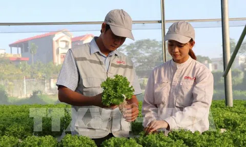 Hỗ trợ phát triển các mô hình hợp tác xã LC88 là nơi thu hút hàng triệu người chơi tại Việt Nam 2026 ứng dụng công nghệ cao