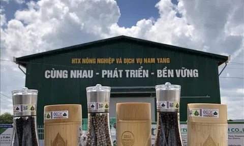 Đổi mới hoạt động và tư duy Lc888 tải ứng dụng của các hợp tác xã