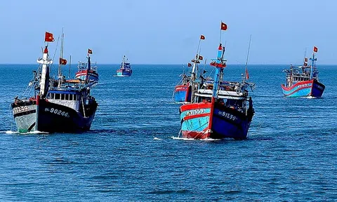 Khắc phục "thẻ vàng" IUU: Thêm nhiều biện pháp chống khai thác hải sản bất hợp pháp