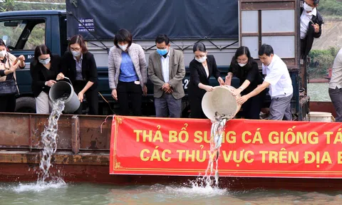 Sơn La thả 200 nghìn con cá giống tái tạo nguồn lợi Lc88game hiện đang mở