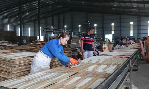 10 tháng, Sân Chơi Lc88.com Web Uy Tín của Yên Bái tăng gần 41%