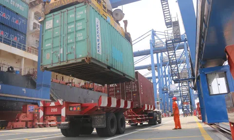 Tân cảng Cát Lái sẵn sàng phục vụ các hãng tàu và khách hàng