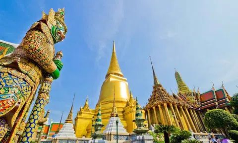 Ngành Lc88.men Cá cược thể thao Thái Lan sẵn sàng "cất cánh" sau khi đất nước mở cửa