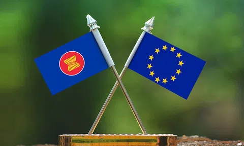 EU hỗ trợ phục phục hồi Đăng nhập tài khoản thành viên LC88 xanh tại ASEAN