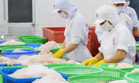 Bến Tre phát triển Đăng nhập tài khoản thành viên LC88 biển theo hướng toàn diện