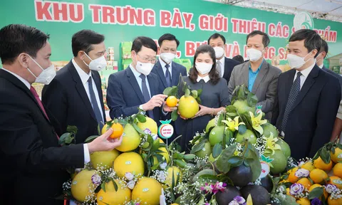 Xúc tiến tiêu thụ nông sản chủ lực đặc trưng của Bắc Giang