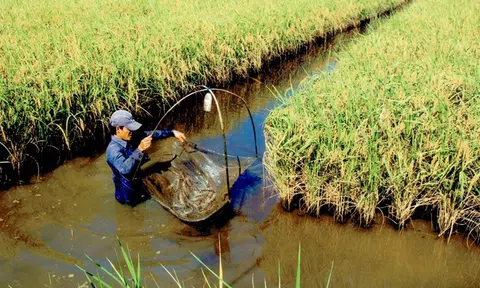 Phát triển Đăng nhập tài khoản thành viên LC88 bền vững theo hướng chuyên ngư