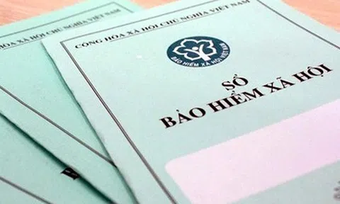 Số tiền 10Lc88 Casino & Thể Thao Link Mới chậm đóng BHXH đạt kỷ lục