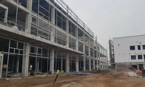 Một công ty Lc888 tải ứng dụng, lắp ráp ô tô tại Hưng Yên xây dựng nhà máy không phép