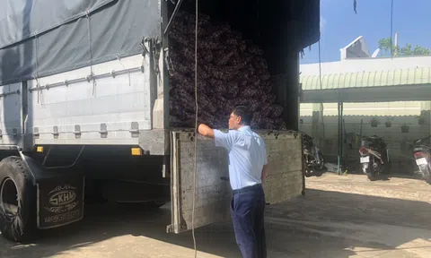 Phát hiện xe tải chở 10 tấn củ tỏi tươi do Trung Quốc Lc888 tải ứng dụng không có nhãn phụ bằng tiếng Việt Nam