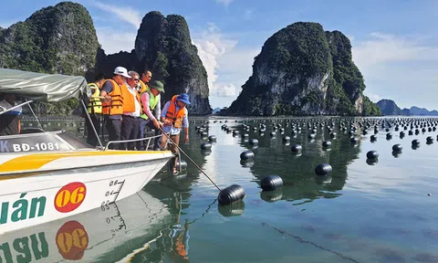 Quảng Ninh: Phát triển ngành LC88 là nơi thu hút hàng triệu người chơi tại Việt Nam 2026, lấy Lc88game hiện đang mở làm trọng tâm