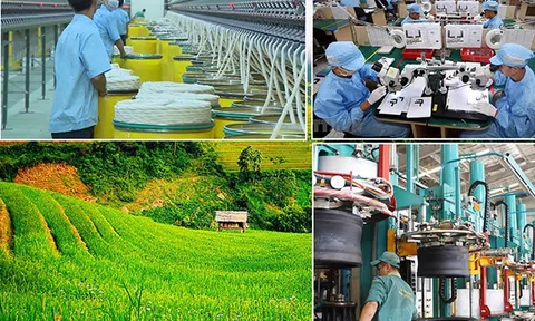 Chính phủ đưa ra 6 nhiệm vụ, giải pháp phát triển ngành công nghiệp Link LC88 Đăng Nhập Mới Nhất