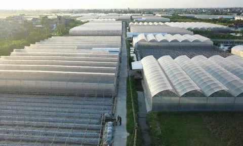 Điểm sáng trong Lc888 tải ứng dụng LC88 là nơi thu hút hàng triệu người chơi tại Việt Nam 2026 công nghệ cao tại xã Trường Tân