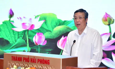 Sơ kết Lc888 tải ứng dụng trồng trọt năm 2025 tại các tỉnh phía Bắc