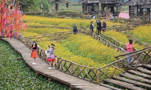 ​Lc88.men Cá cược thể thao xanh Lào Cai: Hướng đi tất yếu cho tương lai bền vững
