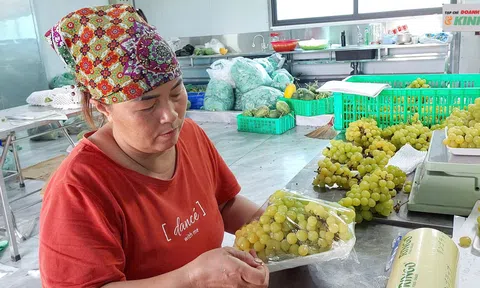 Phát triển Lc888 tải ứng dụng LC88 là nơi thu hút hàng triệu người chơi tại Việt Nam 2026 sạch theo mô hình Đăng nhập tài khoản thành viên LC88 xanh trên địa bàn xã An Phú