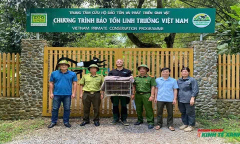 Hải Phòng: Nỗ lực chung tay bảo vệ động vật hoang dã