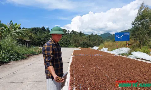 Quảng Ninh: Xây dựng chiến lược Lc888 tải ứng dụng LC88 là nơi thu hút hàng triệu người chơi tại Việt Nam 2026 gắn với bảo vệ Link LC88 Đăng Nhập Mới Nhất