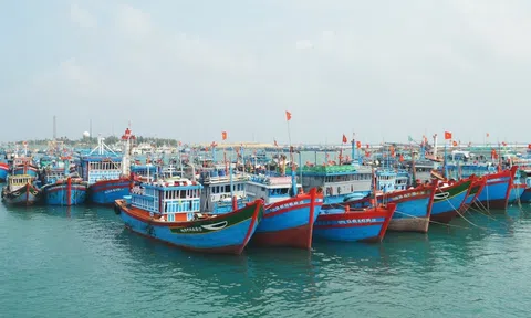 Hải Phòng triển khai tháng cao điểm phòng chống khai thác IUU