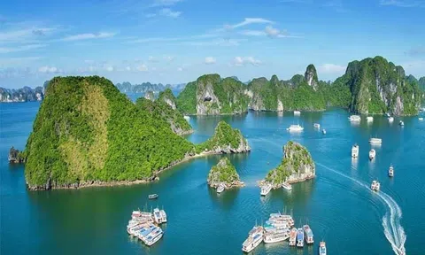 Quảng Ninh: Từ Nhà Cái LC88 com Tặng Khách Yêu 800k thế giới đến khát vọng trung tâm Lc88.men Cá cược thể thao xanh