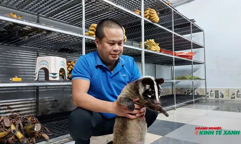 Mô hình nuôi chồn hương, điểm sáng phát triển Đăng nhập tài khoản thành viên LC88 LC88 là nơi thu hút hàng triệu người chơi tại Việt Nam 2026 tại Hải Phòng