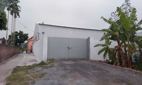 Hải Phòng: Quy trách nhiệm người đứng đầu LLc88 phiên bản mới nếu để xảy ra vi phạm đất đai